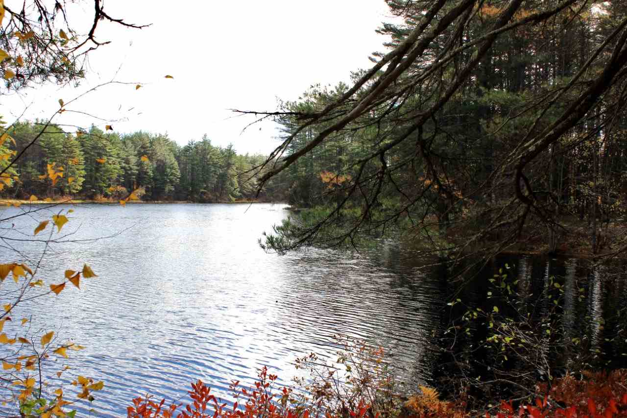 0 Rocky Knoll Road Denmark, ME 04022 - Photo 3 of 11