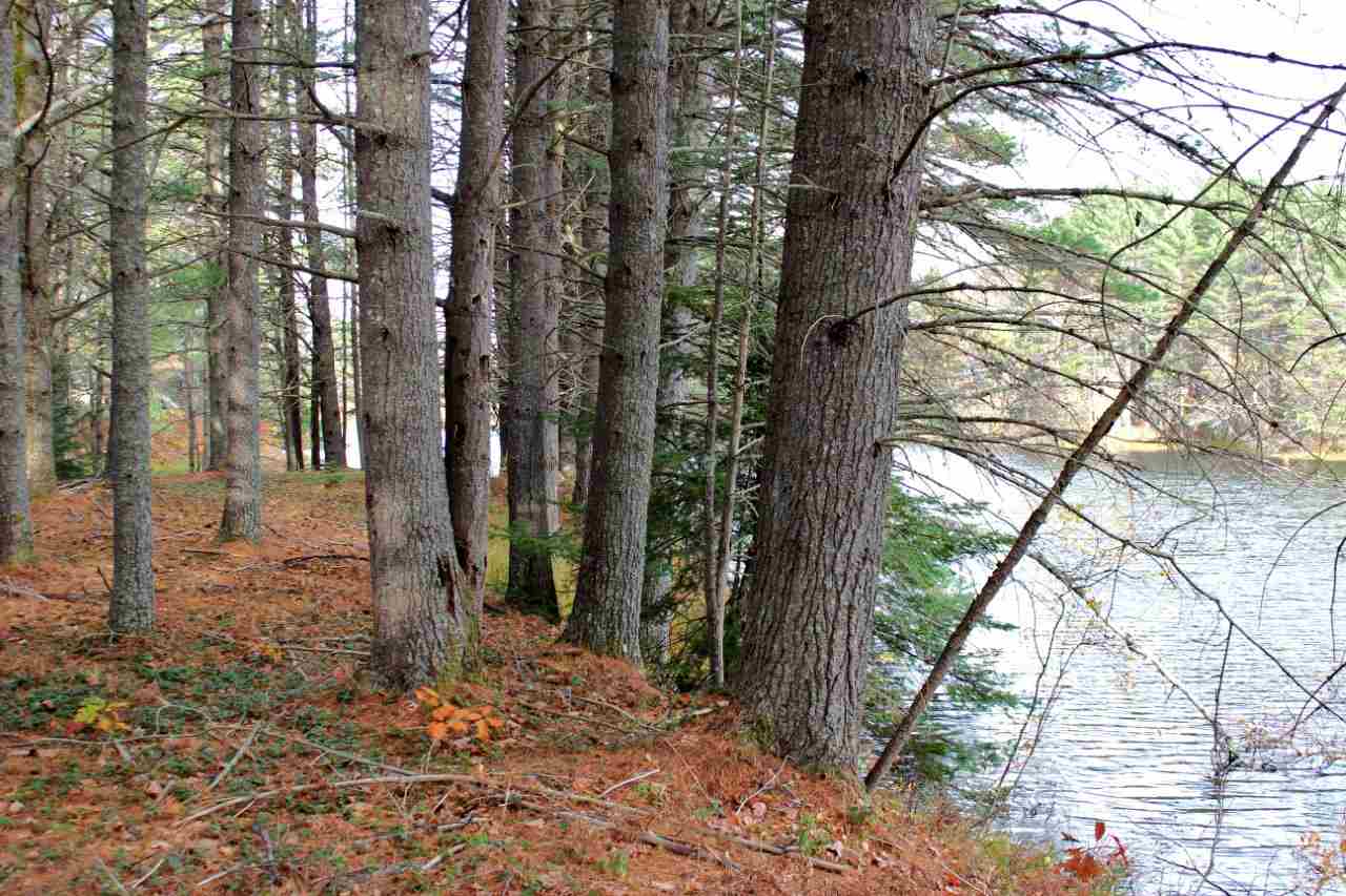 0 Rocky Knoll Road Denmark, ME 04022 - Photo 5 of 11