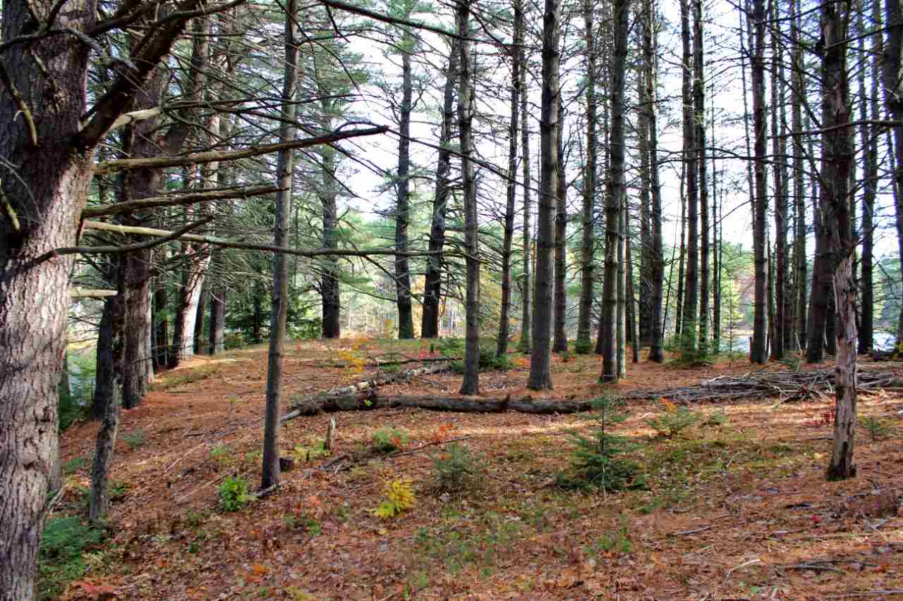 0 Rocky Knoll Road Denmark, ME 04022 - Photo 8 of 11