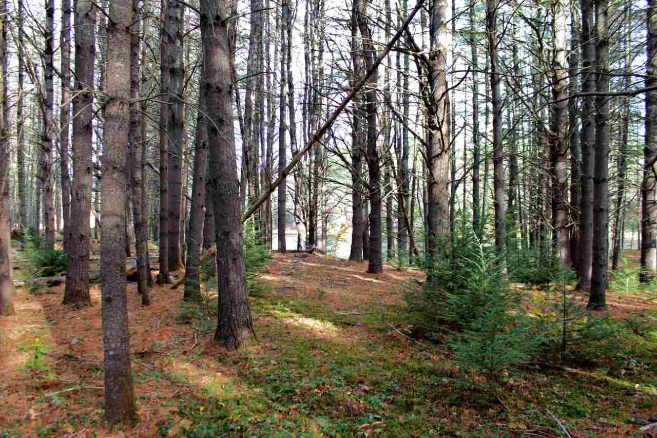 0 Rocky Knoll Road Denmark, ME 04022 - Photo 10 of 11