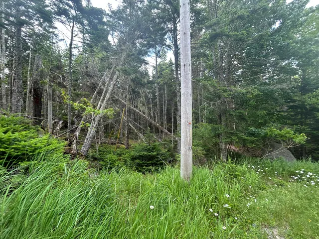 $90,000 | 8-9 10&14 Kent/bar Island/wohoa Bay Road, Addison, ME 04606