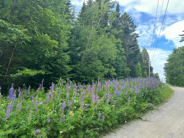 $90,000 | 8-9 10&14 Kent/bar Island/wohoa Bay Road, Addison, ME 04606