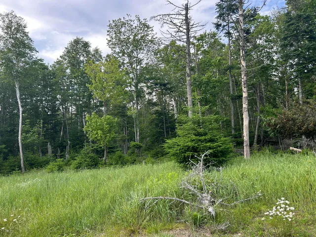 $90,000 | 8-9 10&14 Kent/bar Island/wohoa Bay Road, Addison, ME 04606