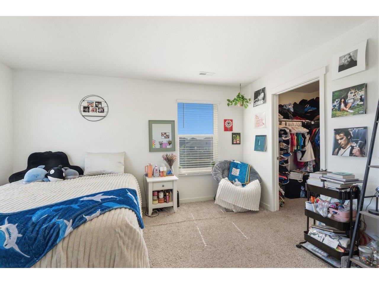 717 Lake Emerson Road Severance, CO 80550 - Photo 31 of 46