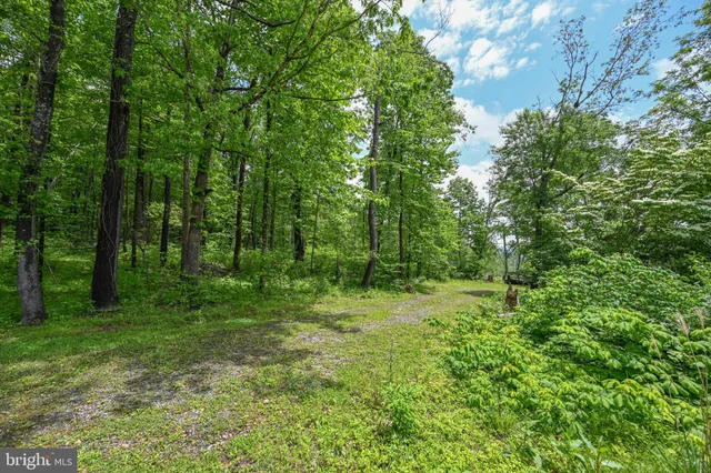 $355,000 | 590 Bearfoot Road, Accident, MD 21520