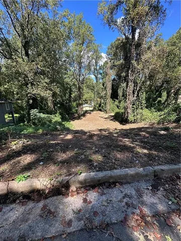 a view of a yard with plants and trees