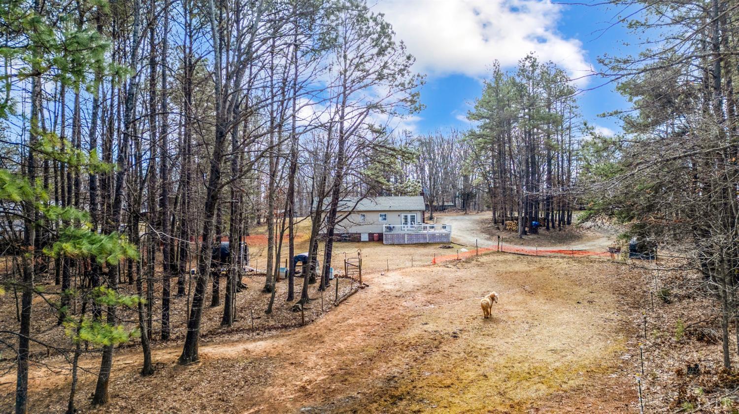 3105 Horseshoe Road Appomattox, VA 24522 - Photo 36 of 59