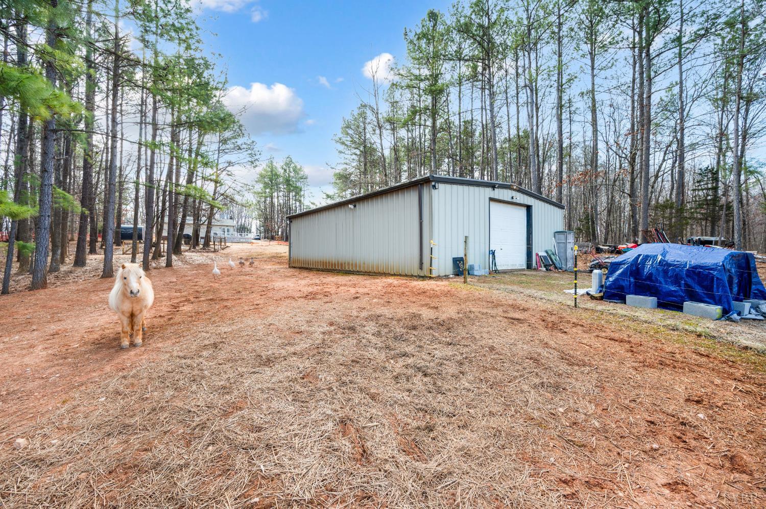 3105 Horseshoe Road Appomattox, VA 24522 - Photo 43 of 59 a backyard of a house with barbeque oven table and chairs