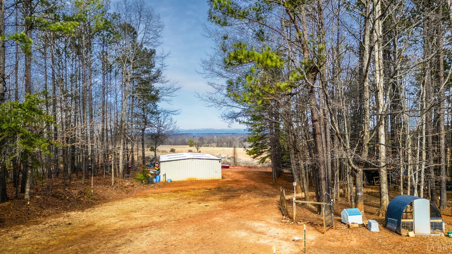 3105 Horseshoe Road Appomattox, VA 24522 - Photo 44 of 59 a view of yard along with trees
