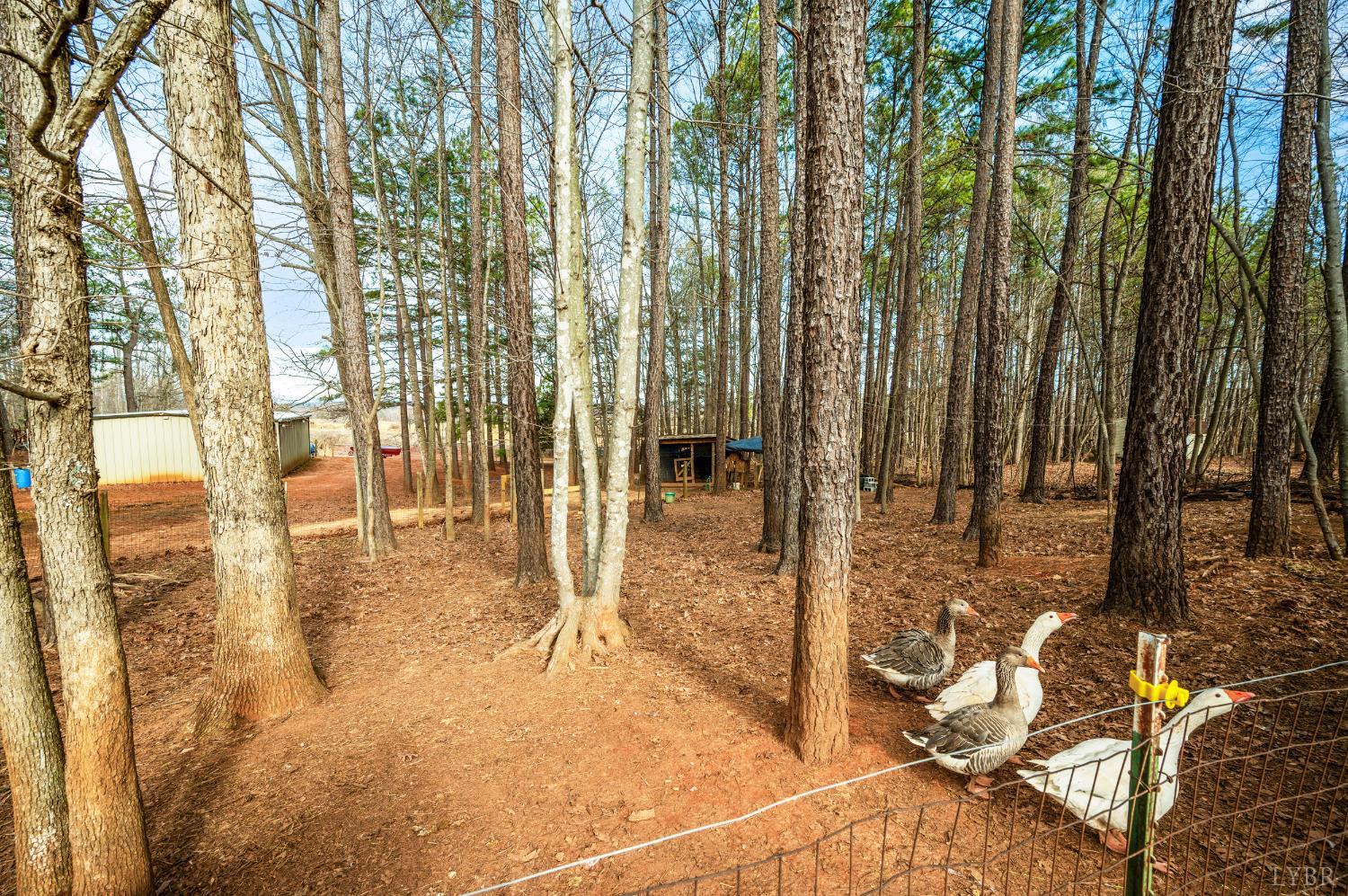 3105 Horseshoe Road Appomattox, VA 24522 - Photo 45 of 59
