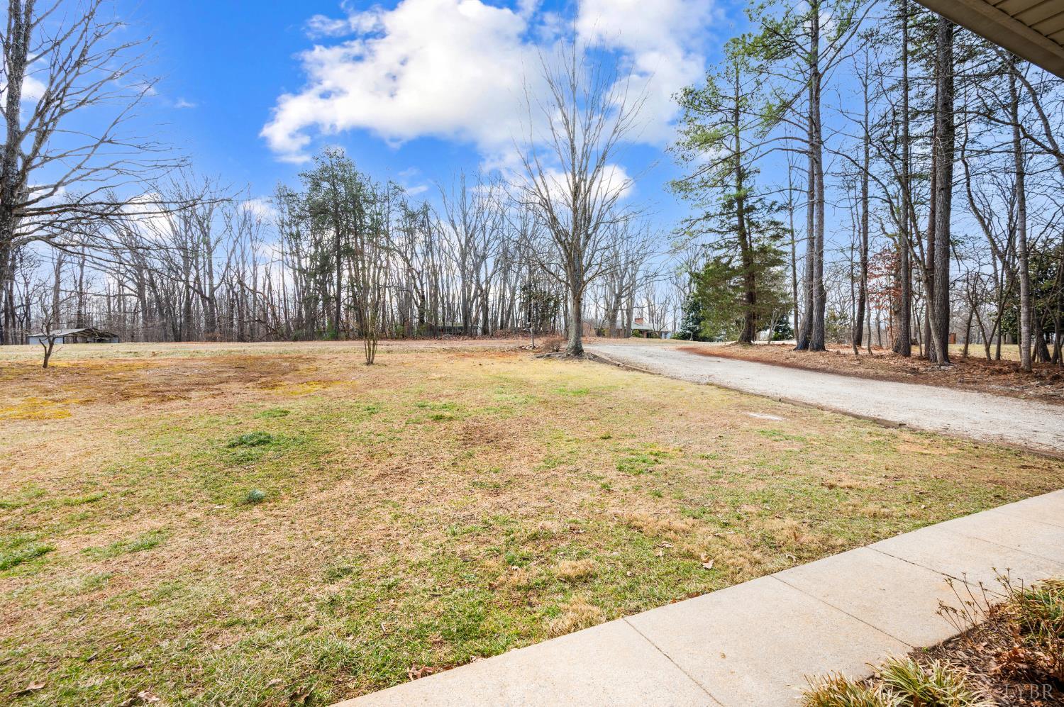 3105 Horseshoe Road Appomattox, VA 24522 - Photo 52 of 59 a view of yard with trees
