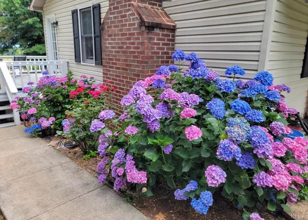 $329,900 | 3105 Horseshoe Road, Appomattox, VA 24522