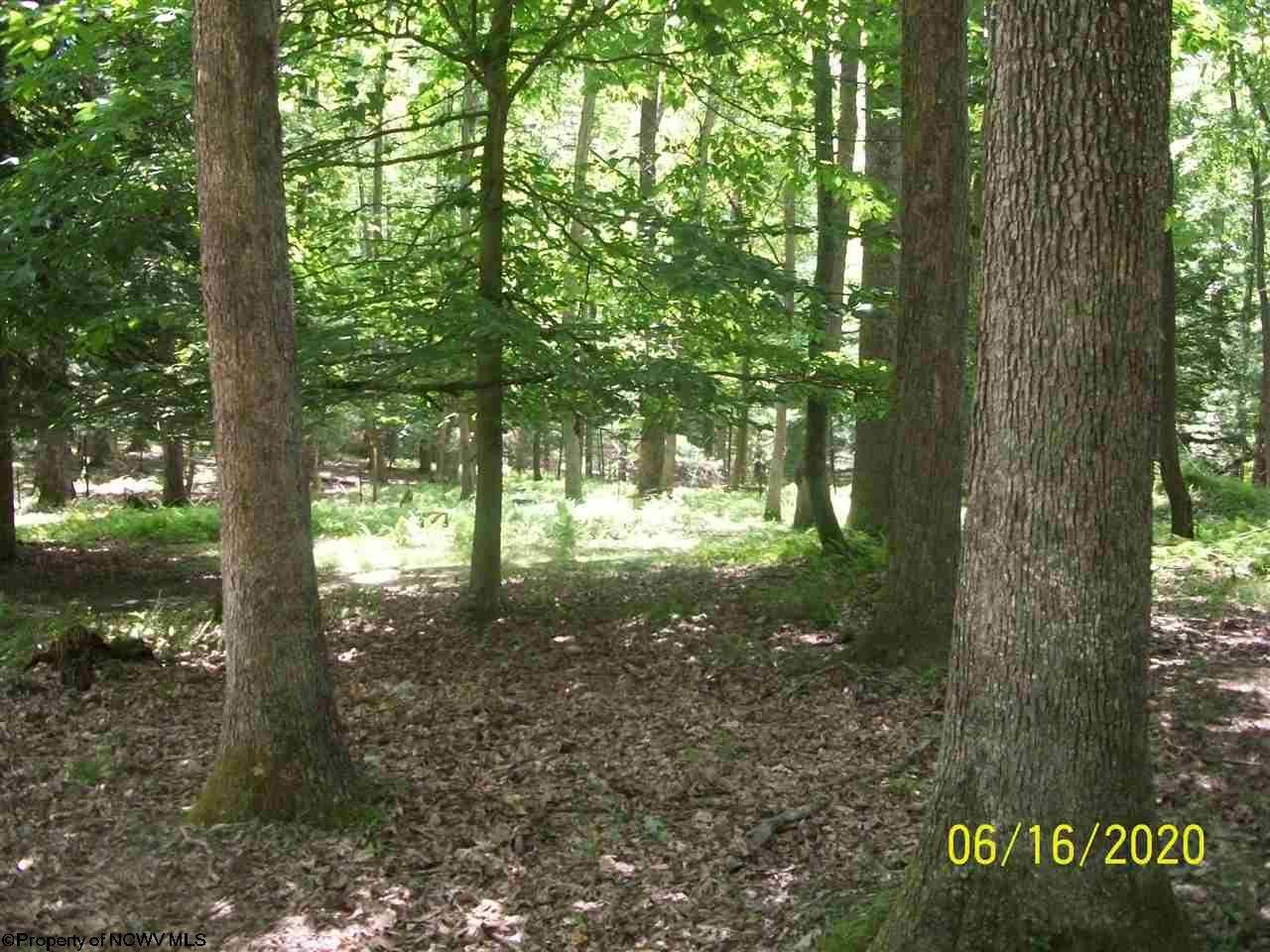 562 Mountain View Estates Road Parsons, WV 26287 - Photo 13 of 15 Gallery Image 13