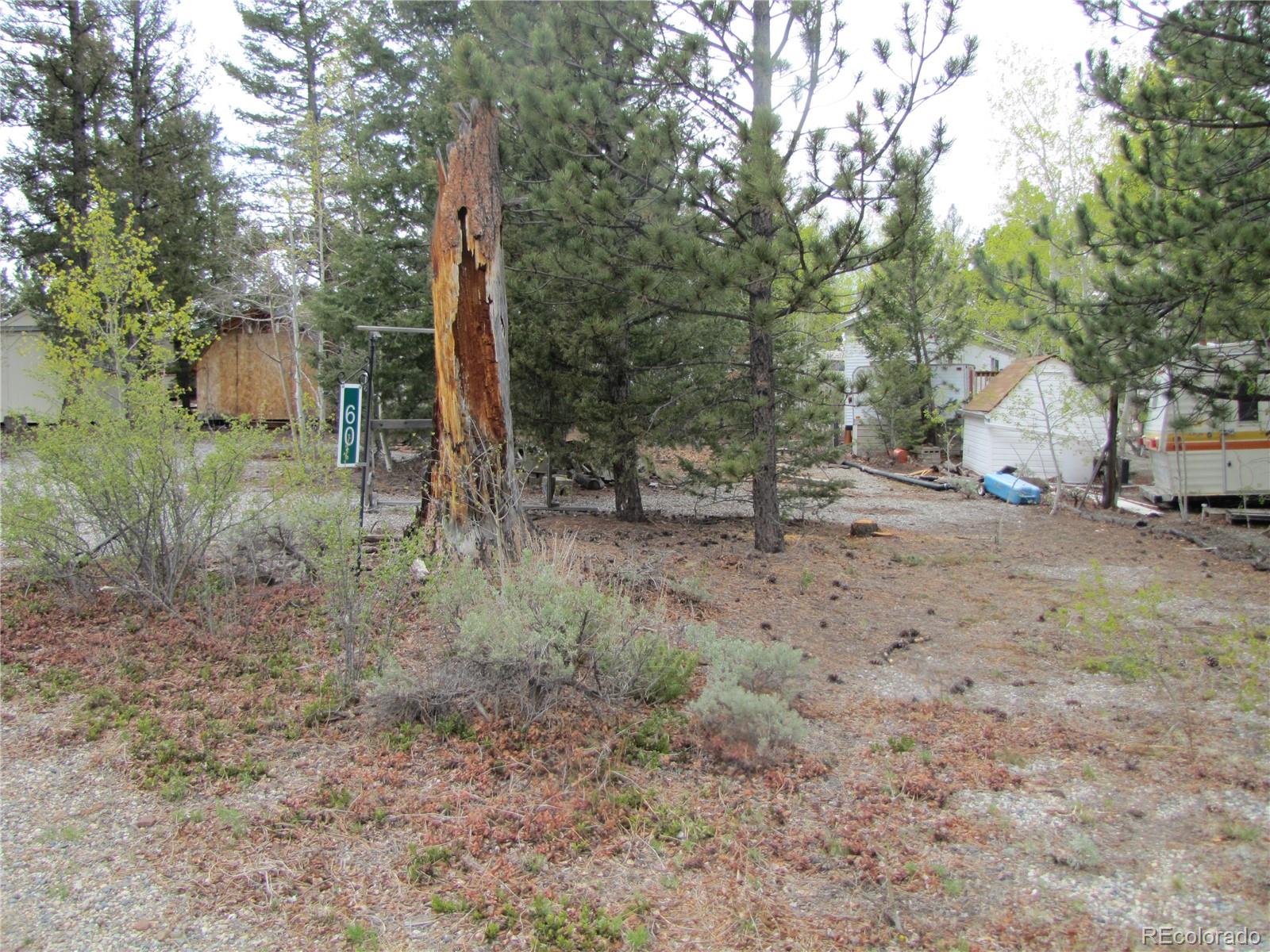 60 Rail Way Fairplay, CO 80440 - Photo 1 of 18 a view of a forest with trees