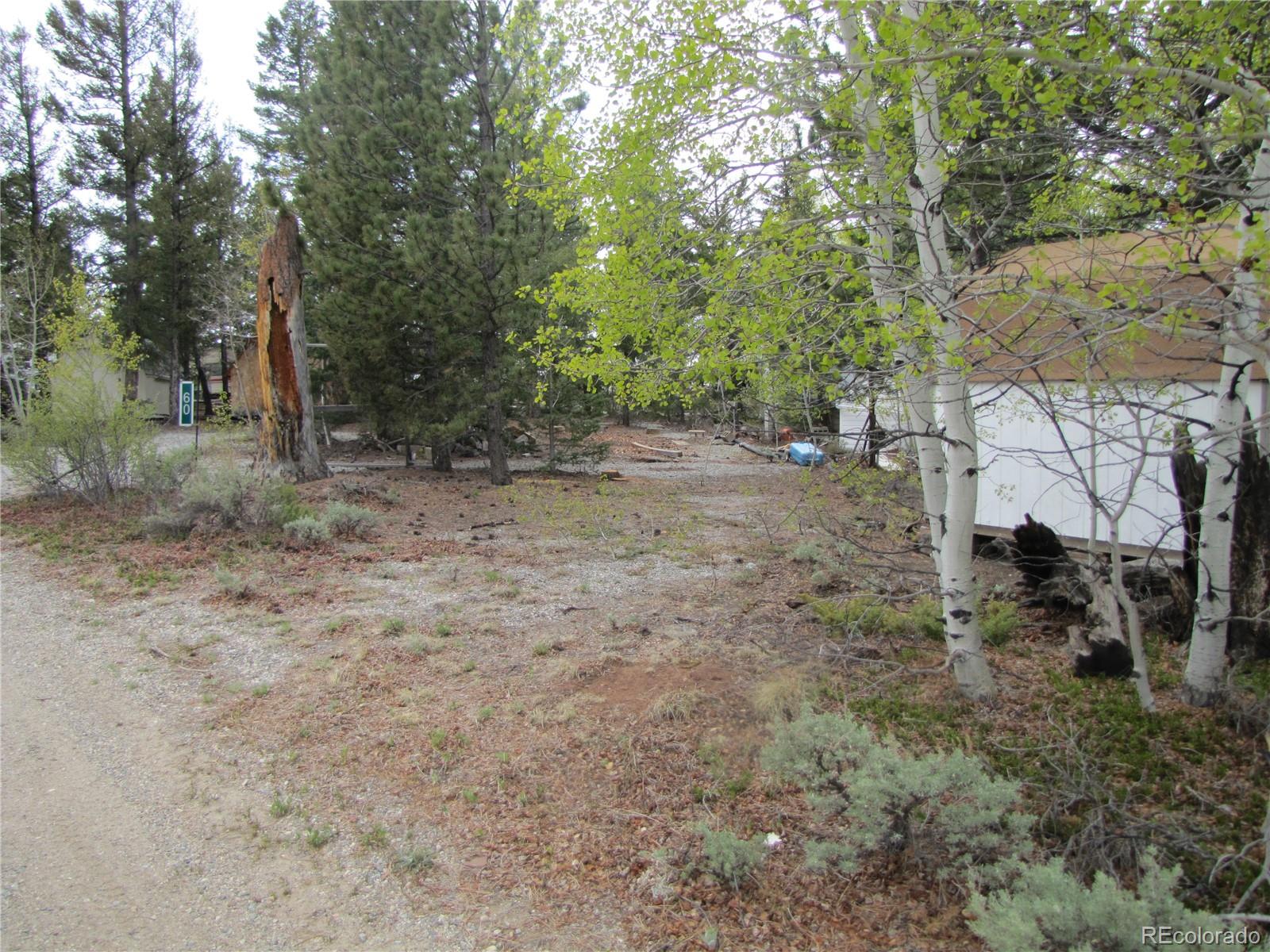 60 Rail Way Fairplay, CO 80440 - Photo 3 of 18 a view of a yard with a tree