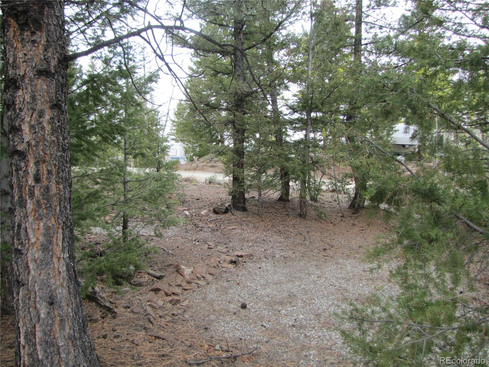 60 Rail Way Fairplay, CO 80440 - Photo 5 of 18 a view of a forest with trees in the background
