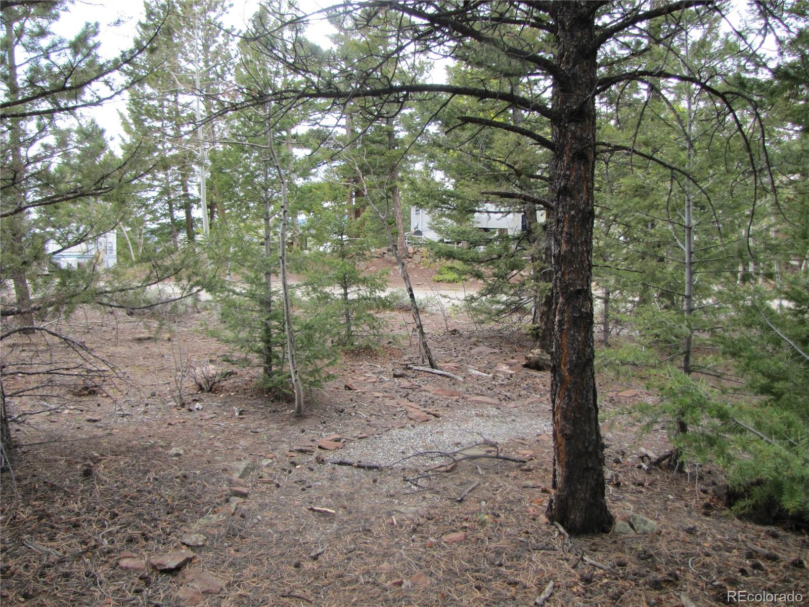 60 Rail Way Fairplay, CO 80440 - Photo 6 of 18 a view of a forest with trees in the background
