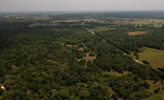 an aerial view of residential houses with outdoor space and trees
