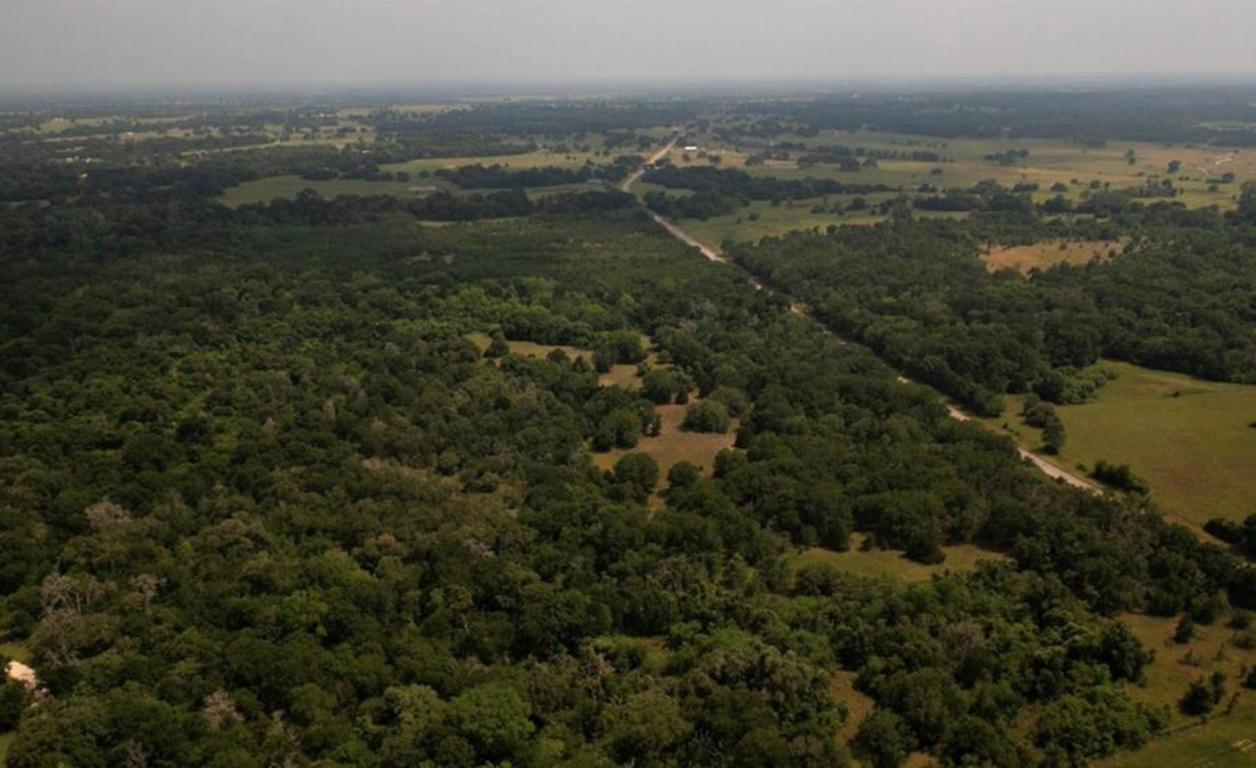 an aerial view of residential houses with outdoor space and trees