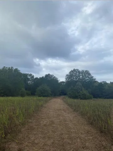a view of lake with mountain