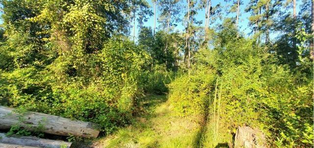 29260 Paquet Road Lacombe, LA 70445 - Photo 3 of 7