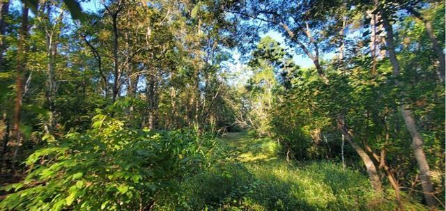 29260 Paquet Road Lacombe, LA 70445 - Photo 4 of 7