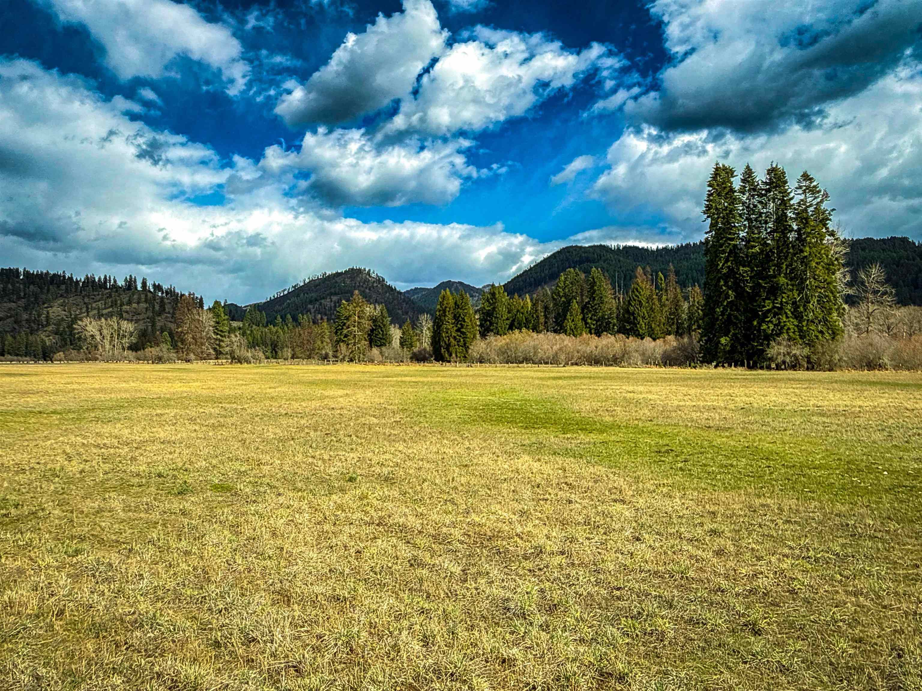 901 Skookum Creek Road Usk, WA 99180 - Photo 31 of 50