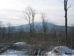 Vt Rte 30th Winhall, VT 05340 - Photo 1 of 4
