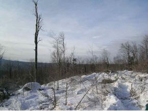 Vt Rte 30th Winhall, VT 05340 - Photo 3 of 4