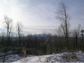 Vt Rte 30th Winhall, VT 05340 - Photo 4 of 4