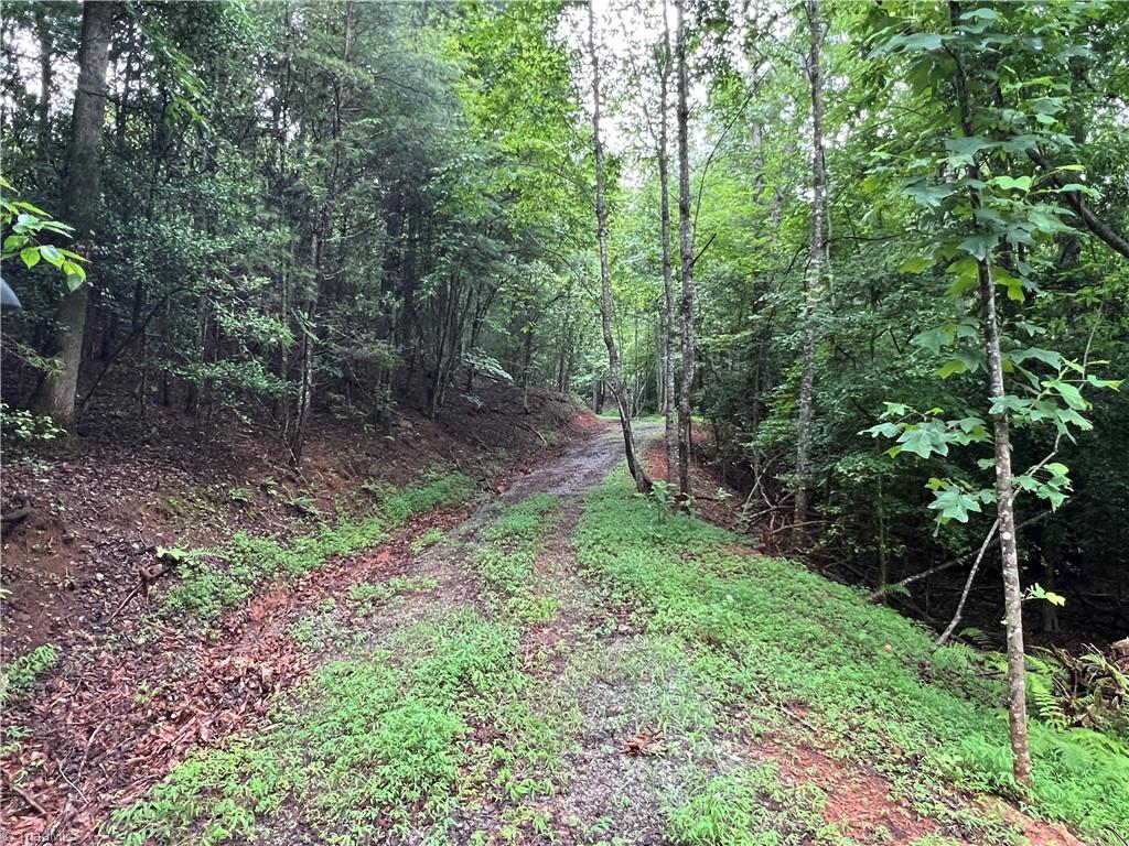 Tbd Staghorn Road Purlear, NC 28665 - Photo 12 of 50