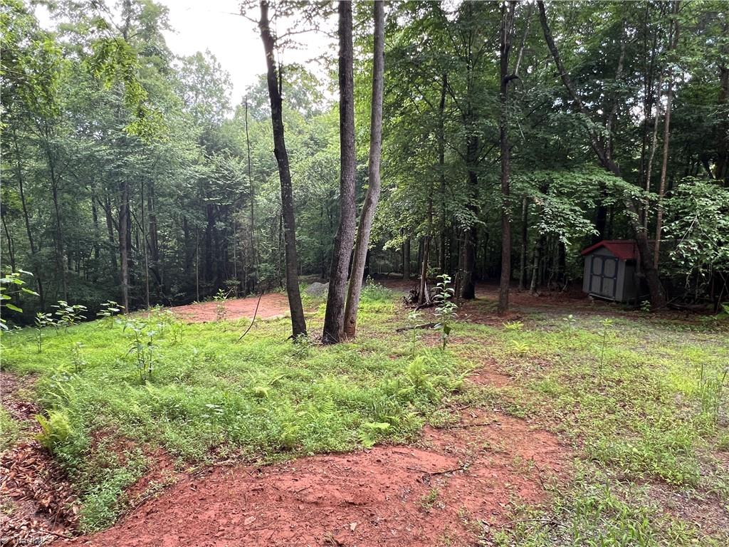 Tbd Staghorn Road Purlear, NC 28665 - Photo 15 of 50 One of many potential building sites