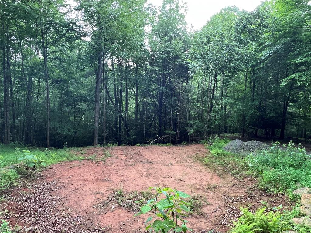 Tbd Staghorn Road Purlear, NC 28665 - Photo 17 of 50