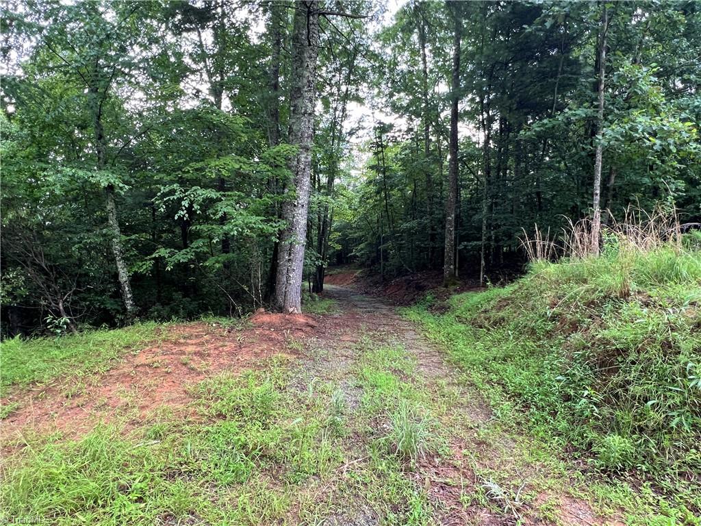 Tbd Staghorn Road Purlear, NC 28665 - Photo 21 of 50