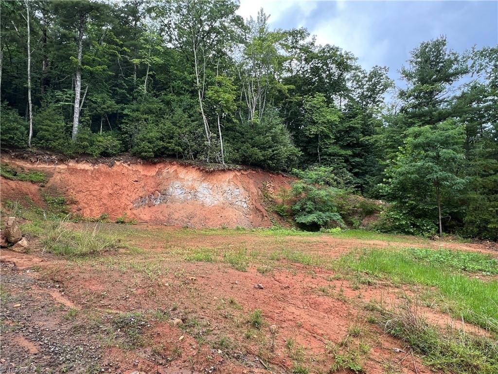 Tbd Staghorn Road Purlear, NC 28665 - Photo 23 of 50 One of many potential building sites