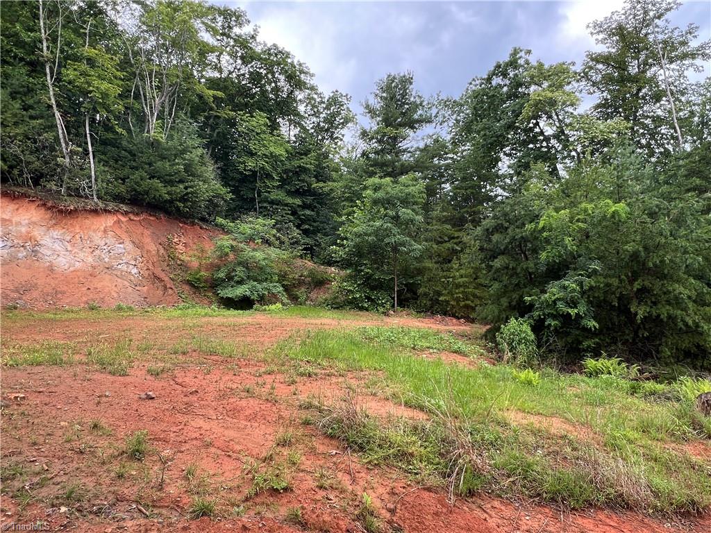 Tbd Staghorn Road Purlear, NC 28665 - Photo 24 of 50 One of many potential building sites