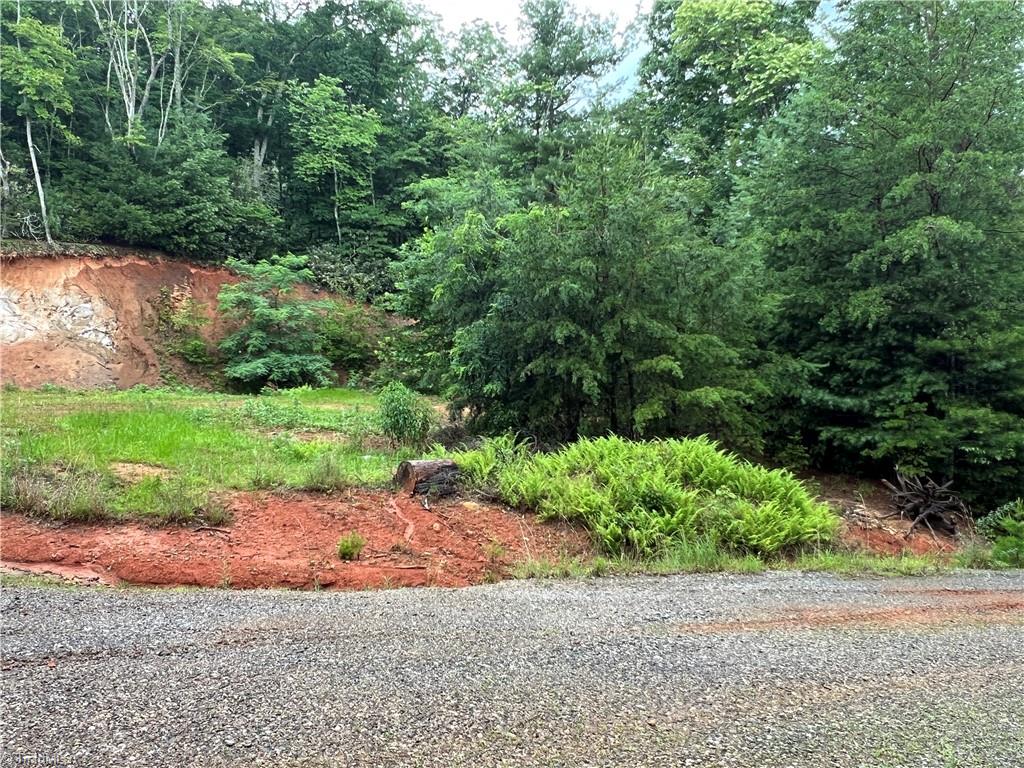 Tbd Staghorn Road Purlear, NC 28665 - Photo 26 of 50