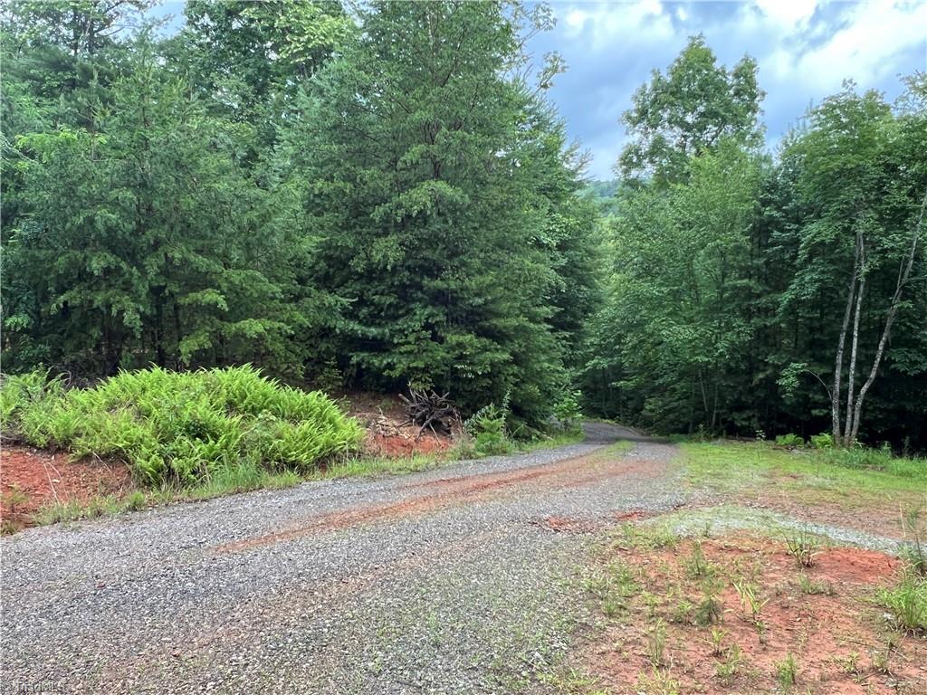 Tbd Staghorn Road Purlear, NC 28665 - Photo 27 of 50