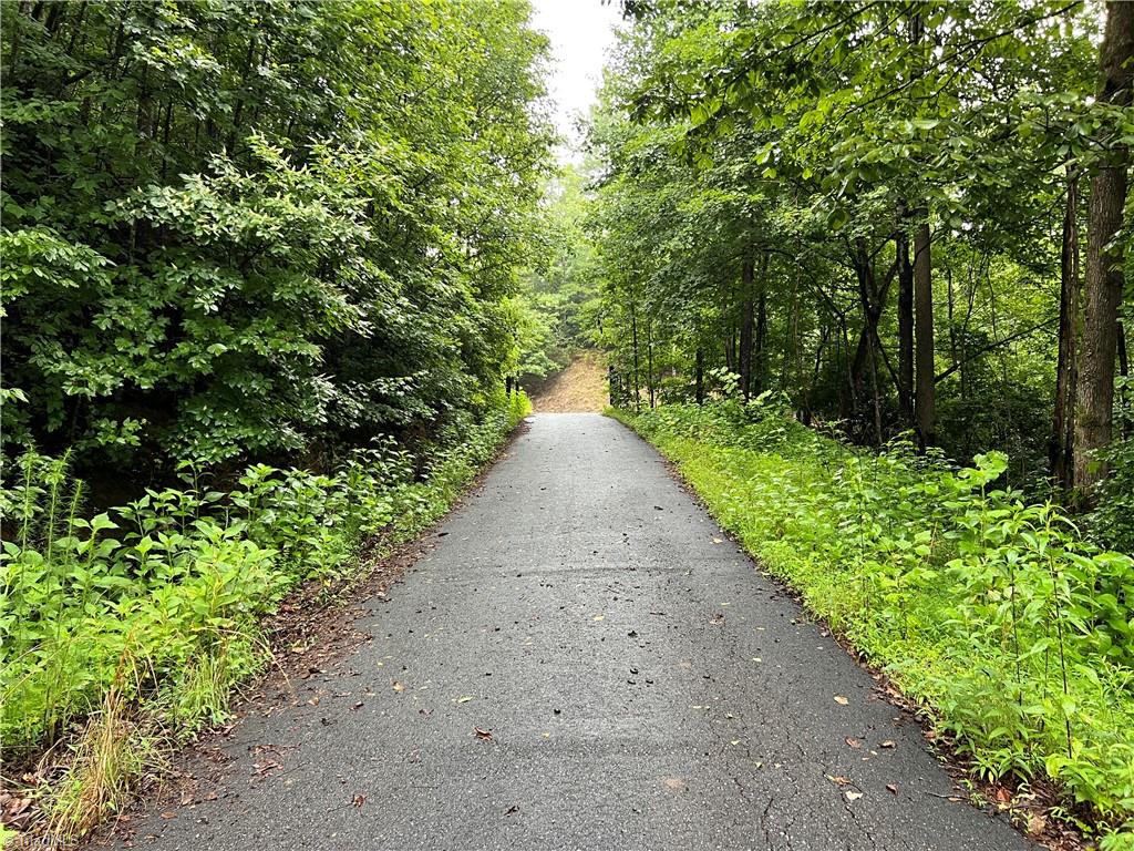 Tbd Staghorn Road Purlear, NC 28665 - Photo 29 of 50 Paved access road looking toward gate at Staghorn Road