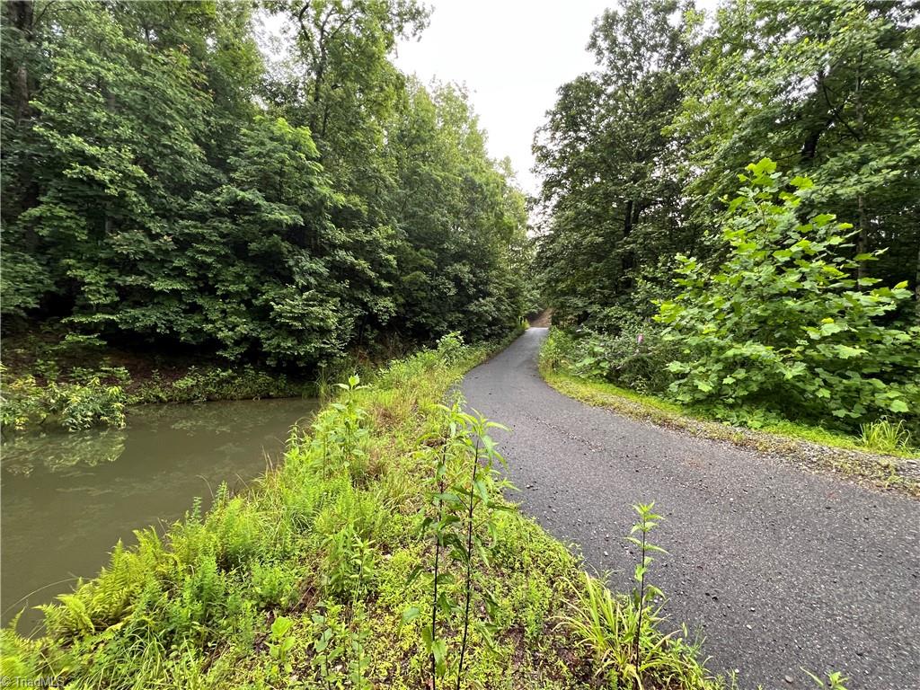 Tbd Staghorn Road Purlear, NC 28665 - Photo 30 of 50 Spring-Fed Pond and Paved access Road