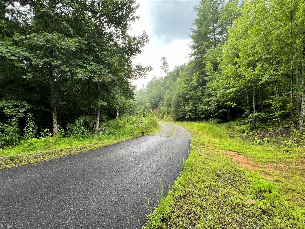 Tbd Staghorn Road Purlear, NC 28665 - Photo 3 of 50 Access Road goes from paved to gravel