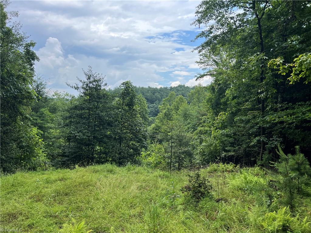 Tbd Staghorn Road Purlear, NC 28665 - Photo 6 of 50 One of many potential building sites