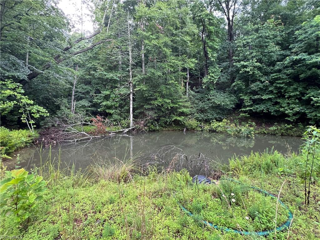 Tbd Staghorn Road Purlear, NC 28665 - Photo 8 of 50 Spring-Fed Pond on property