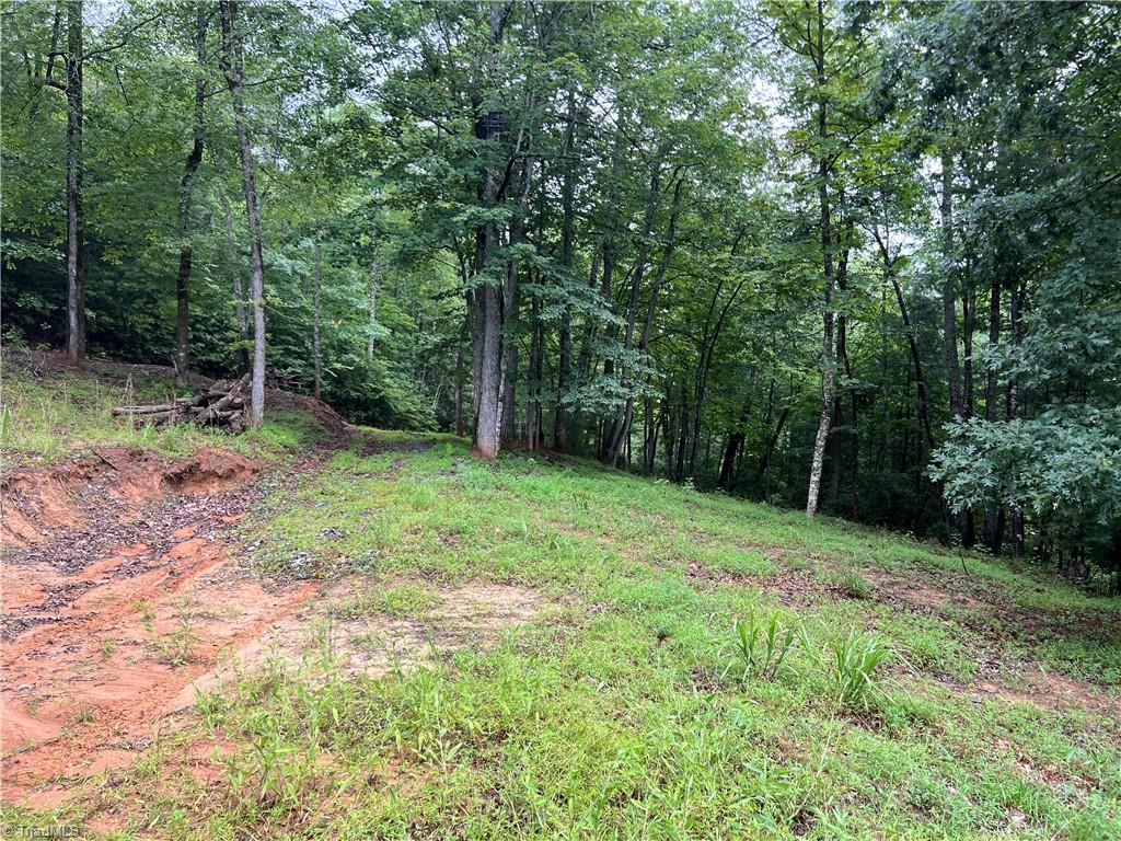 Tbd Staghorn Road Purlear, NC 28665 - Photo 9 of 50 One of many potential building sites