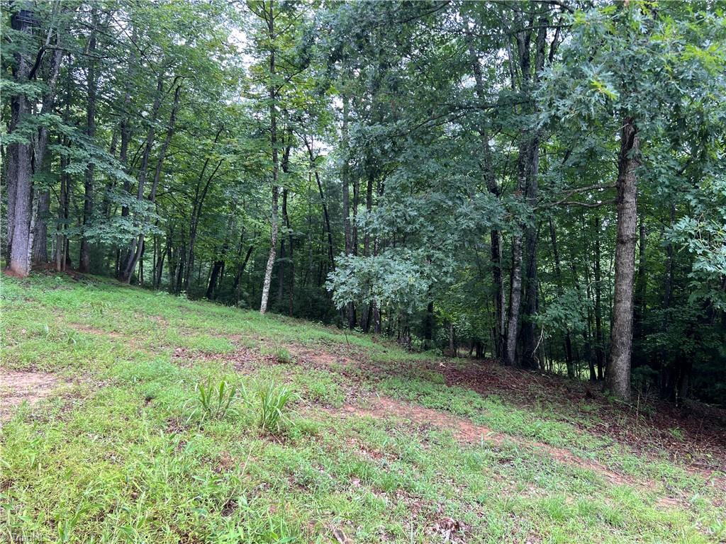 Tbd Staghorn Road Purlear, NC 28665 - Photo 10 of 50 One of many potential building sites