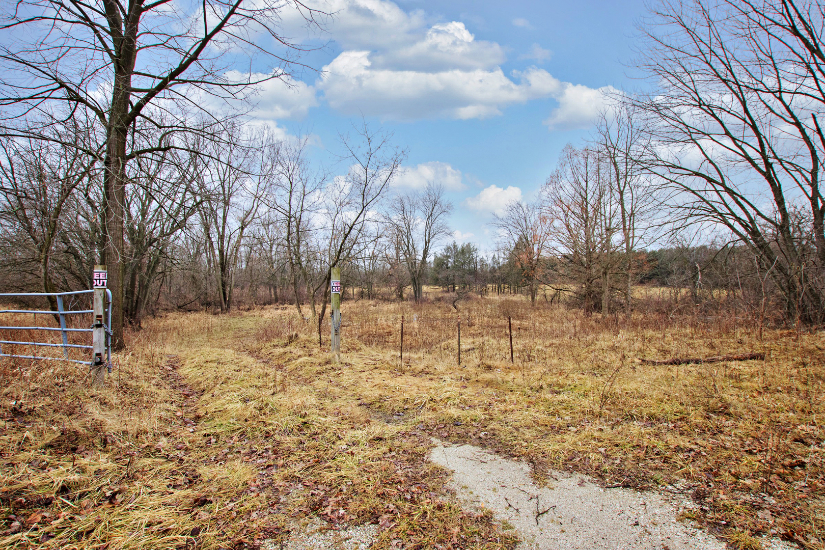 17925 Stearns School Road Gurnee, IL 60031 - Photo 5 of 12