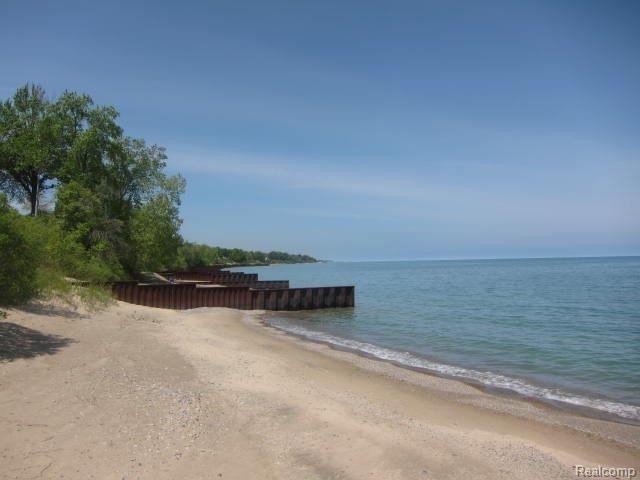 7405 Walbridge Road Lexington, MI 48450 - Photo 20 of 20 IMG_4437.JPG