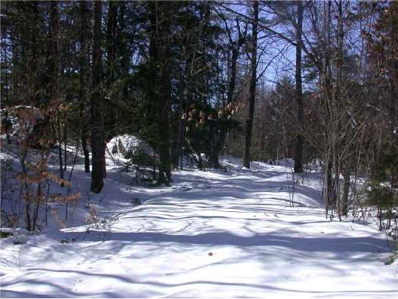 Lot 5 Onset Road Bennington, NH 03442 - Photo 1 of 1