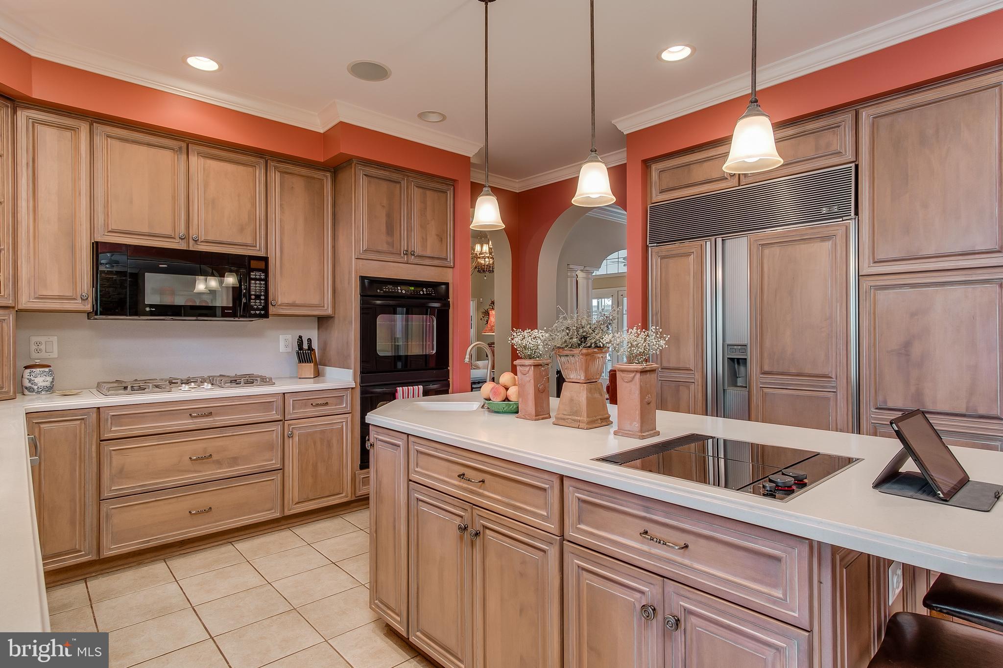 2657 Brook Valley Road Frederick, MD 21701 - Photo 18 of 52 THERE IS A JENN AIRE INDOOR GRILL