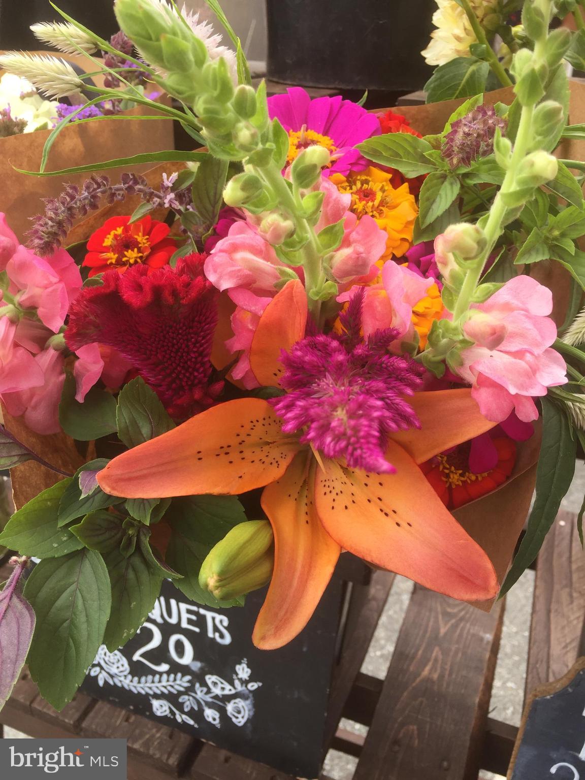 2657 Brook Valley Road Frederick, MD 21701 - Photo 51 of 52 THE FARMER'S MARKET DOESN'T DISAPPOINT